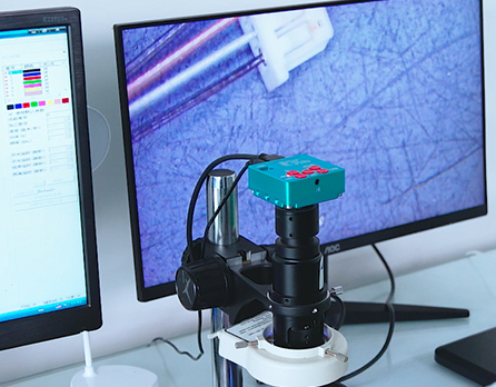 上海强乱强乱中文字幕